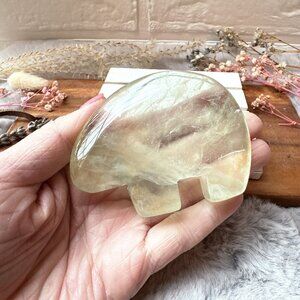 Gorgeous Fluorite Bear Carving